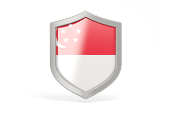 vpn services for Singapore